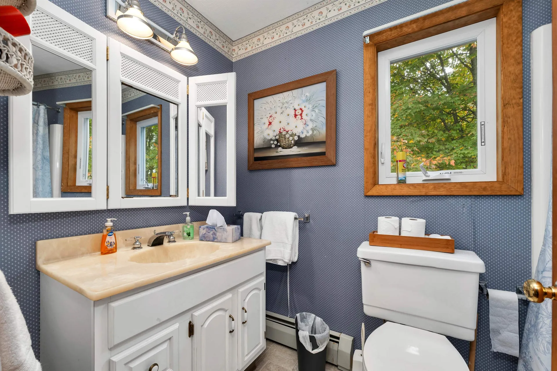 157 Georgetown Drive Barnstead NH 03225