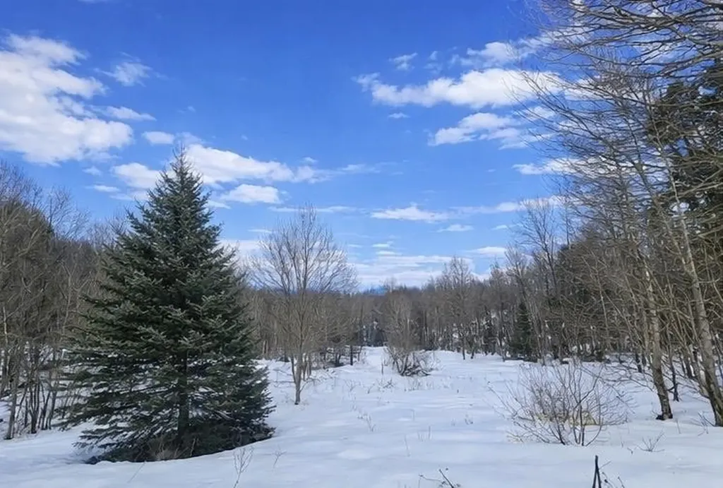 548 Ober Hill Road Johnson VT 05656