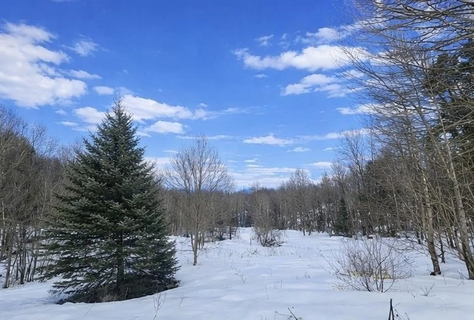 548 Ober Hill Road Johnson VT 05656