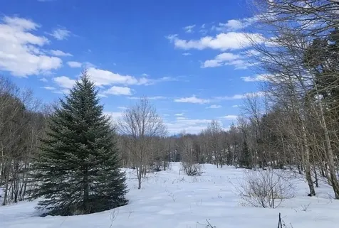 548 Ober Hill Road Johnson VT 05656