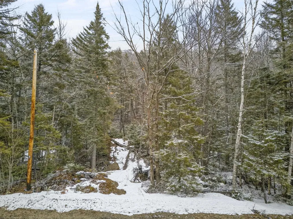 M10 L50 Ashuelot Drive Washington NH 03280