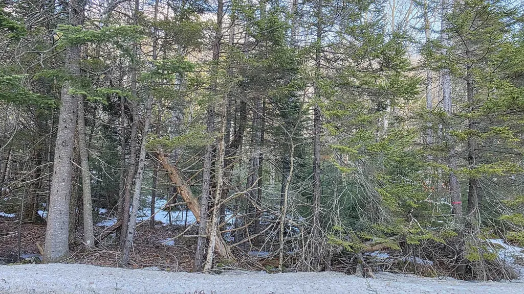 M10 L50 Ashuelot Drive Washington NH 03280
