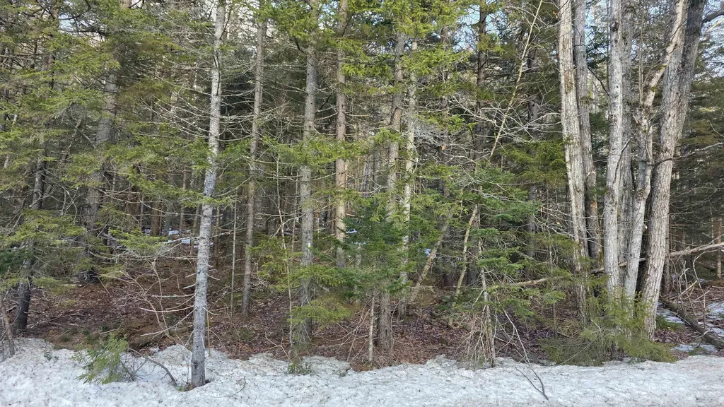 M10 L50 Ashuelot Drive Washington NH 03280