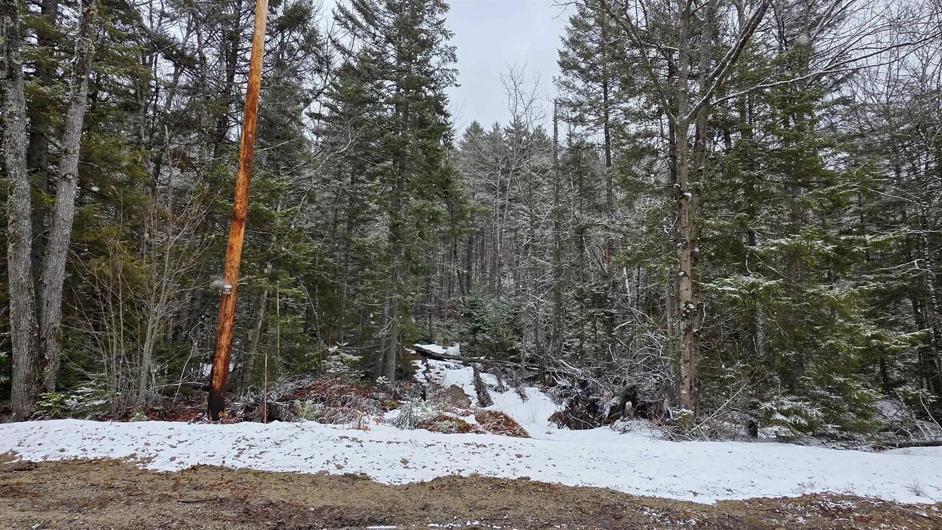 M10 L50 Ashuelot Drive Washington NH 03280