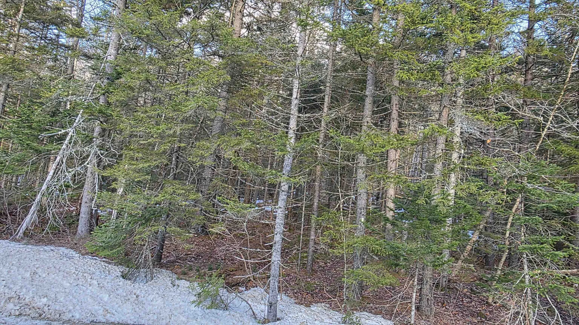 M10 L50 Ashuelot Drive Washington NH 03280