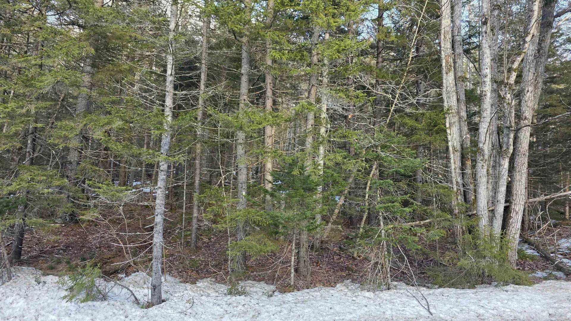 M10 L50 Ashuelot Drive Washington NH 03280