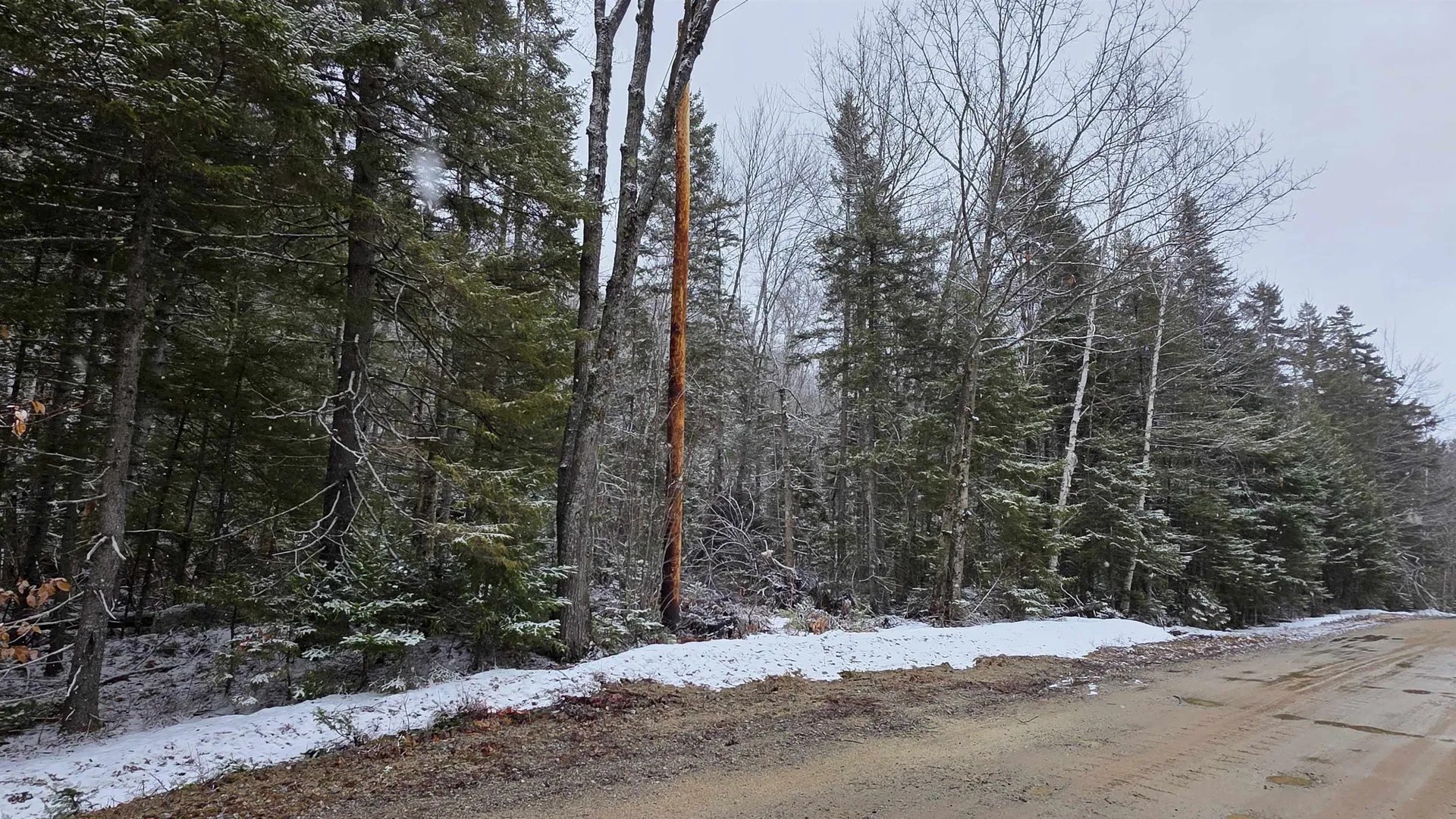 M10 L50 Ashuelot Drive Washington NH 03280