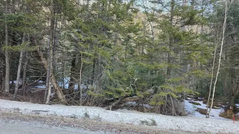 M10 L50 Ashuelot Drive Washington NH 03280