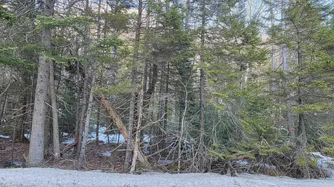 M10 L50 Ashuelot Drive Washington NH 03280