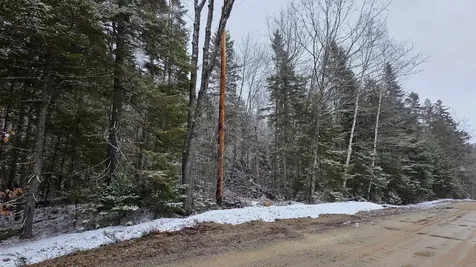 M10 L50 Ashuelot Drive Washington NH 03280