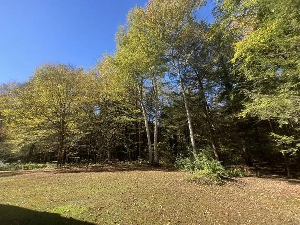 31 Poplar Lane Vernon VT 05354