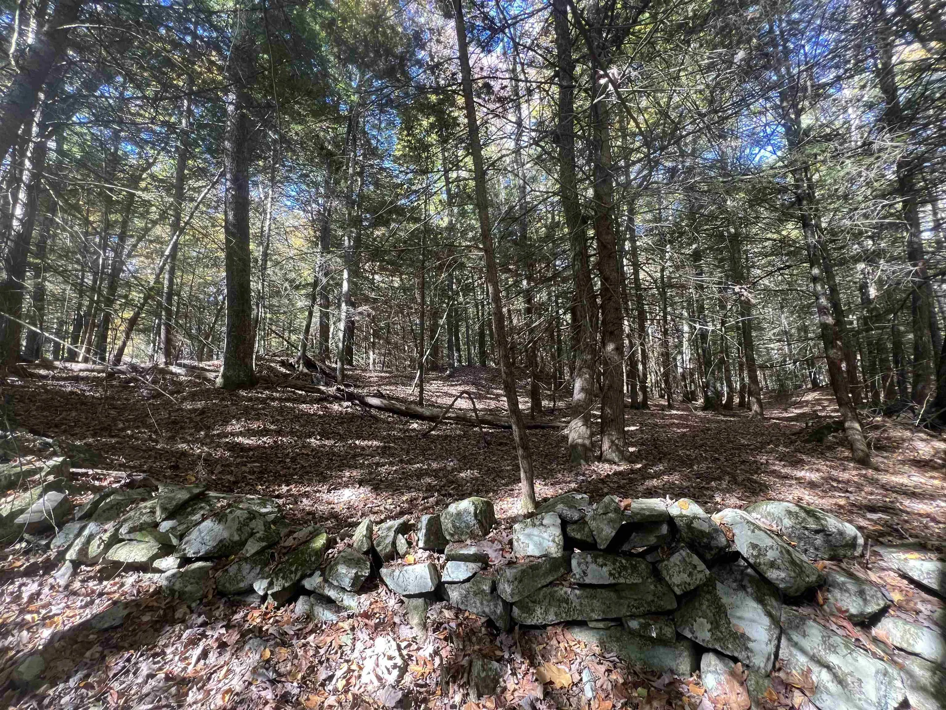 31 Poplar Lane Vernon VT 05354