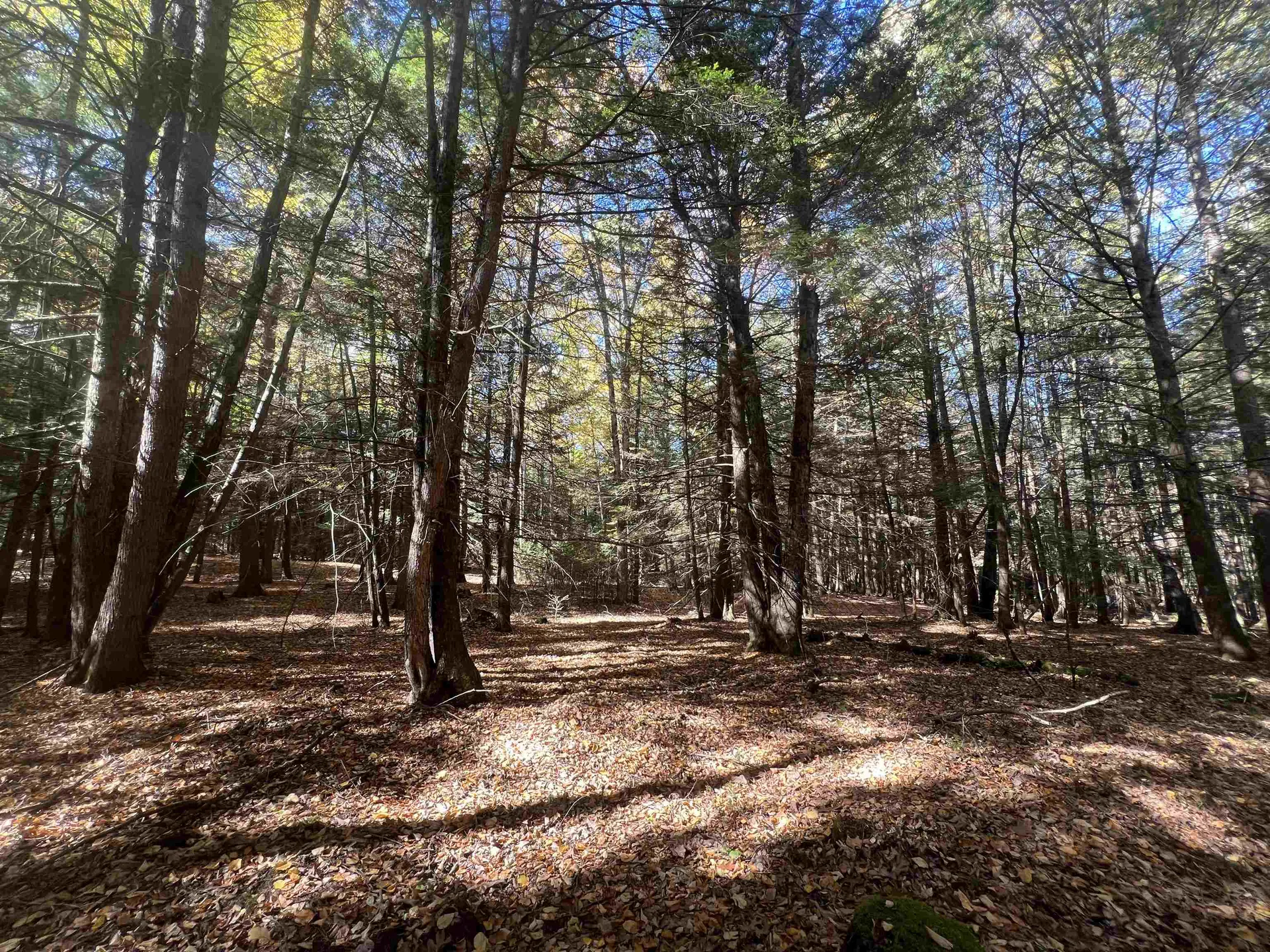 31 Poplar Lane Vernon VT 05354