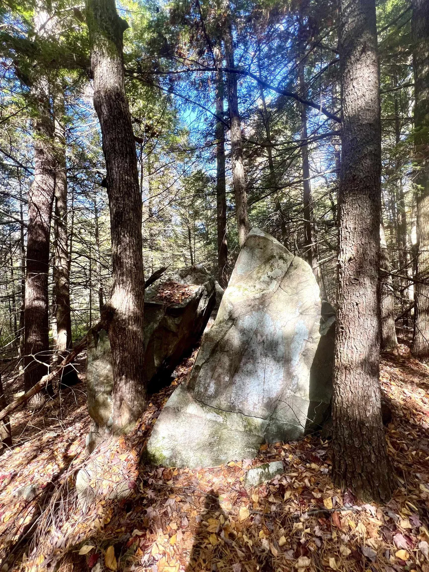 31 Poplar Lane Vernon VT 05354