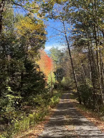 31 Poplar Lane Vernon VT 05354