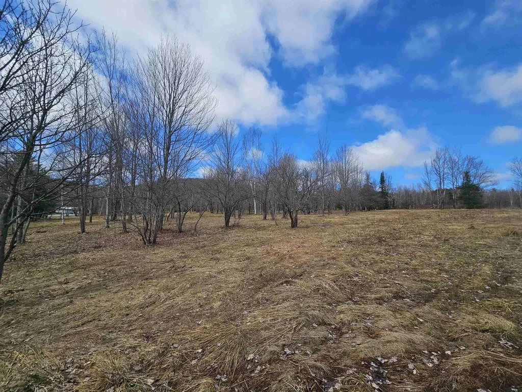 Tbd Dukes Road Johnson VT 05656