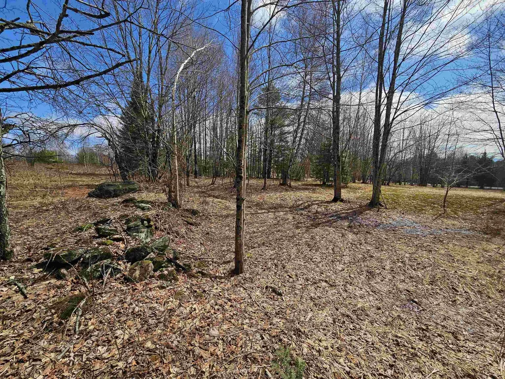 Tbd Dukes Road Johnson VT 05656