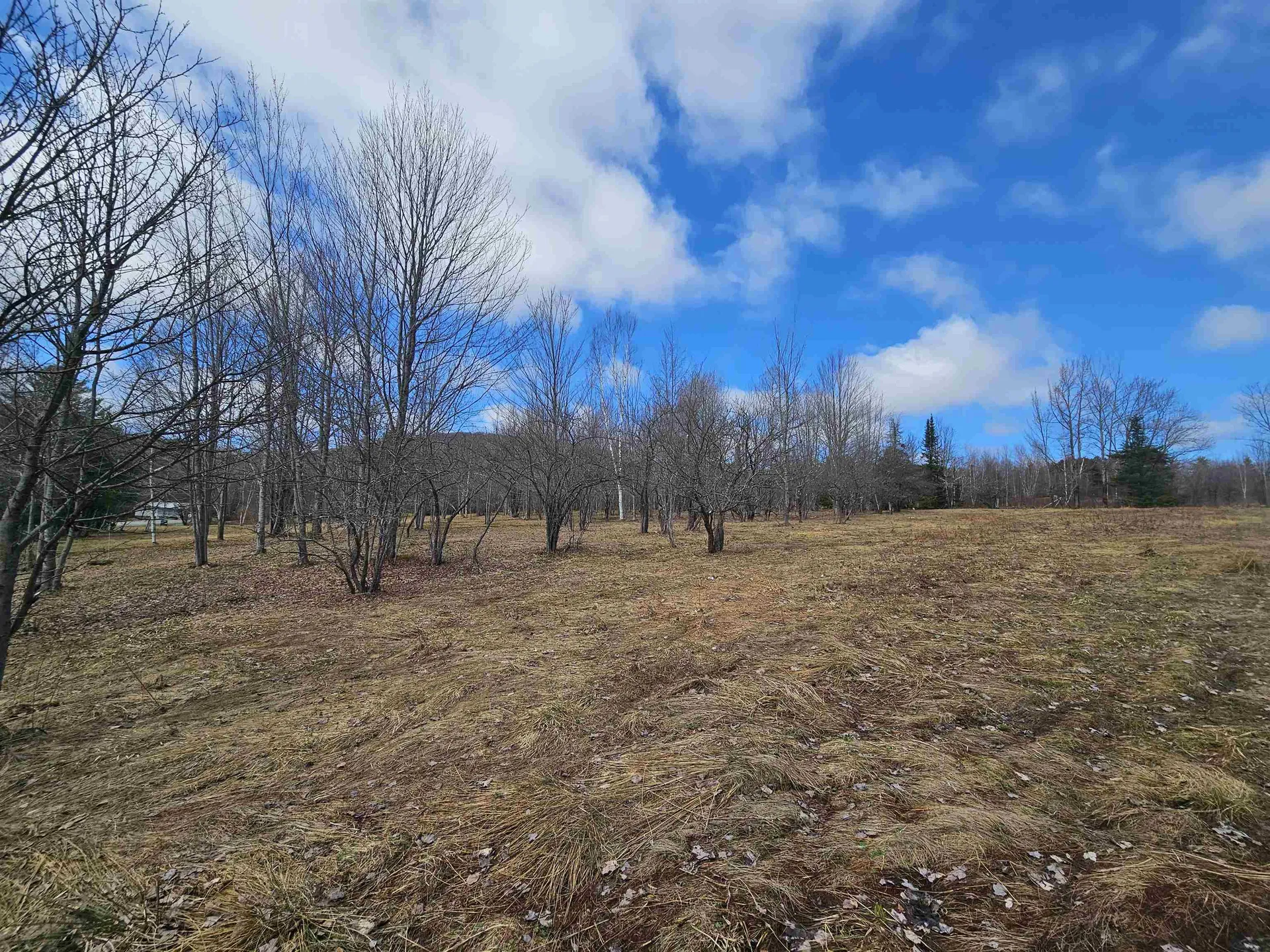Tbd Dukes Road Johnson VT 05656