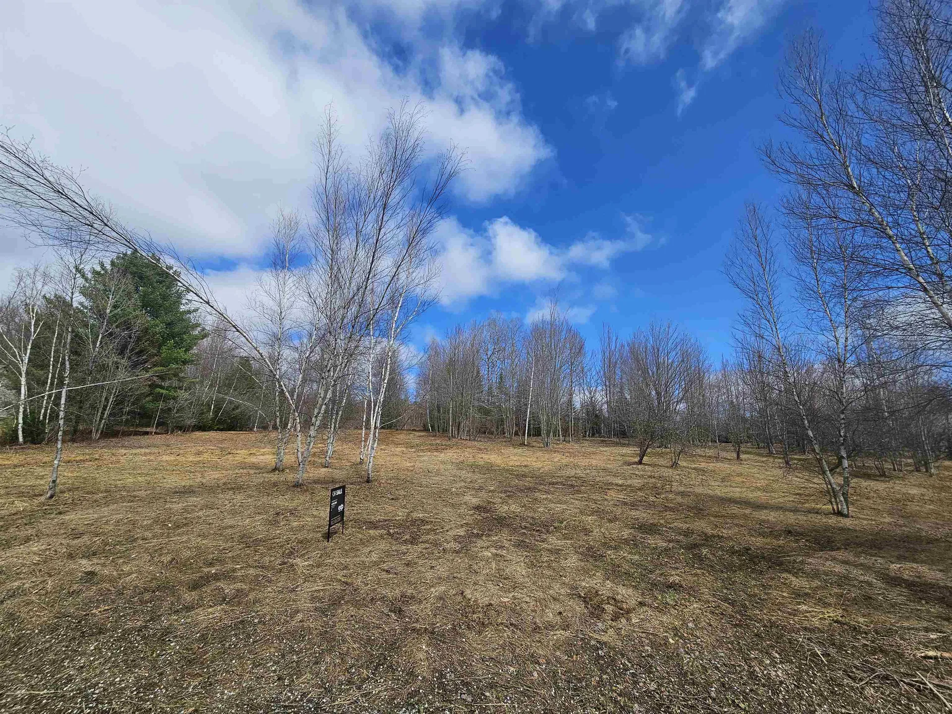 Tbd Dukes Road Johnson VT 05656