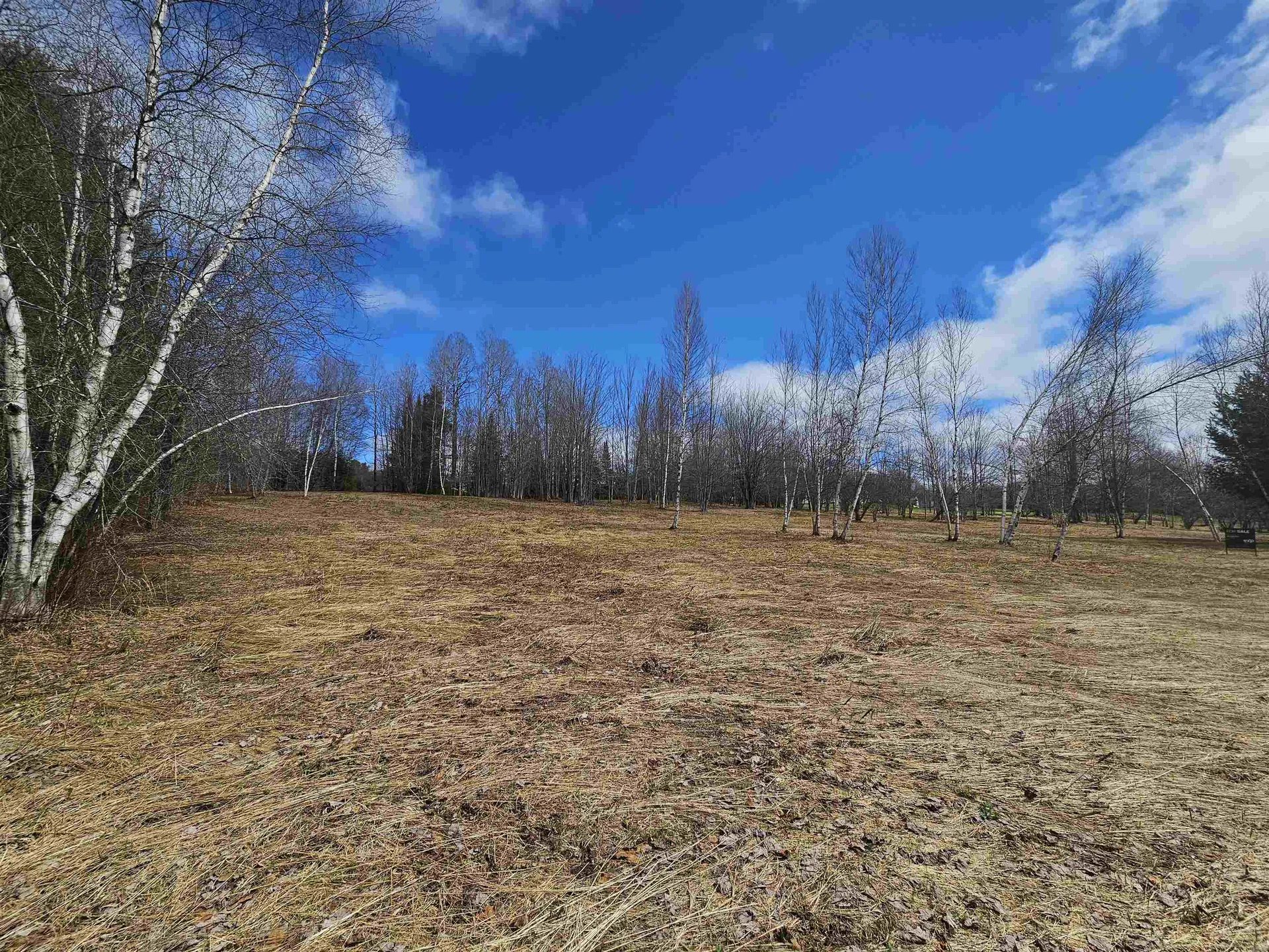 Tbd Dukes Road Johnson VT 05656