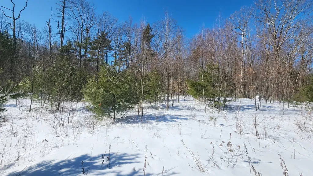 Tbd Old Concord Turnpike Barrington NH 03825