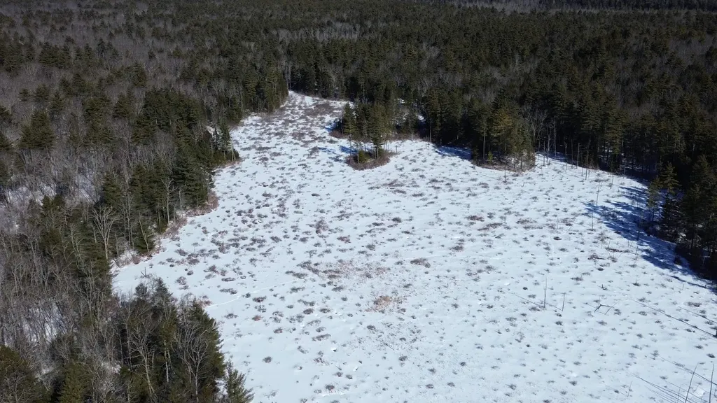 Tbd Old Concord Turnpike Barrington NH 03825