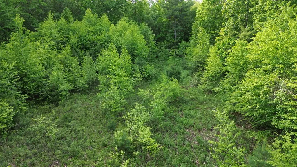 Tbd Old Concord Turnpike Barrington NH 03825