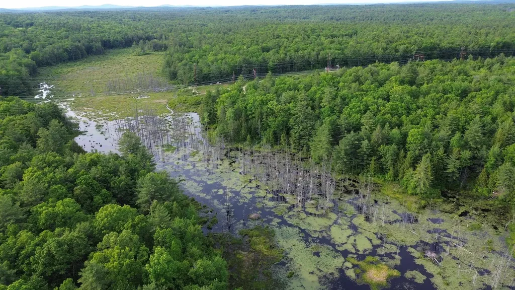 Tbd Old Concord Turnpike Barrington NH 03825