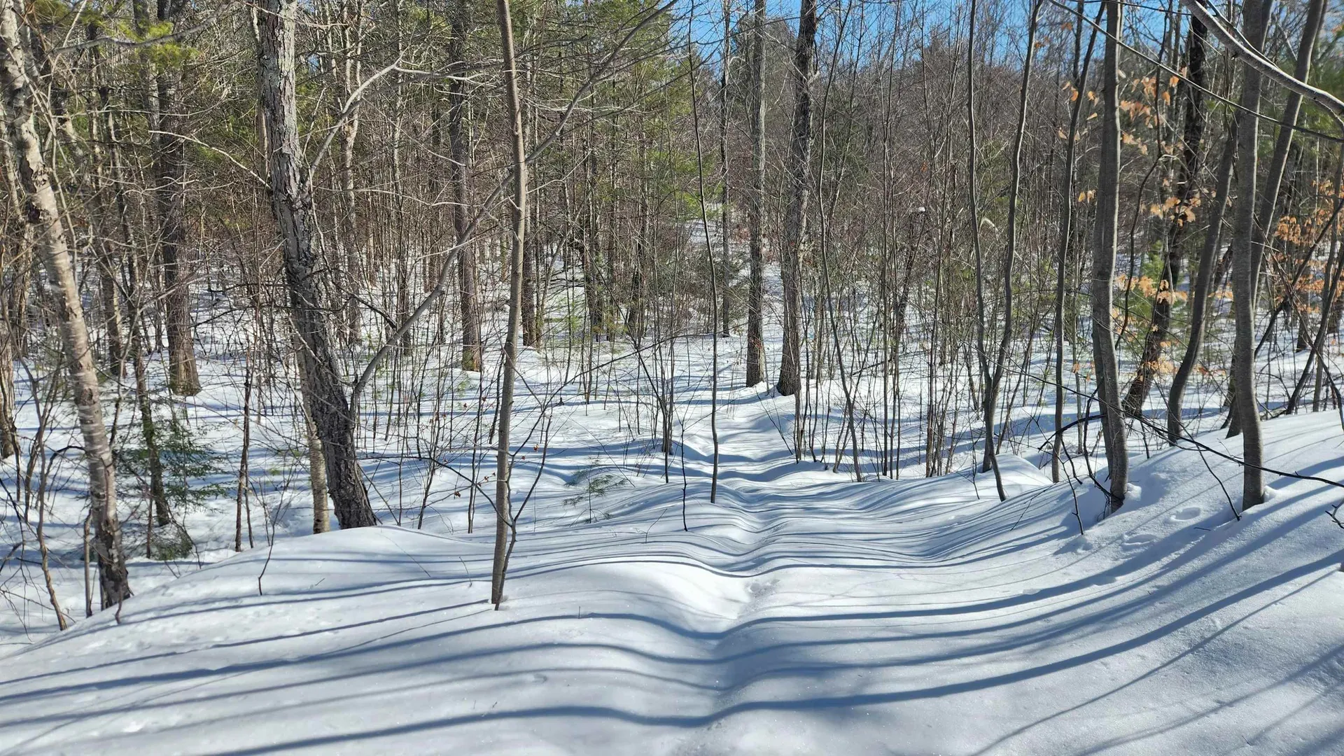 Tbd Old Concord Turnpike Barrington NH 03825