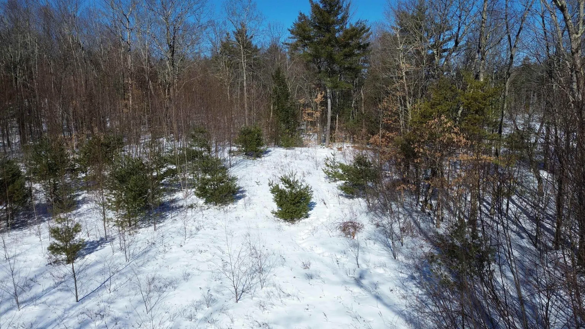 Tbd Old Concord Turnpike Barrington NH 03825
