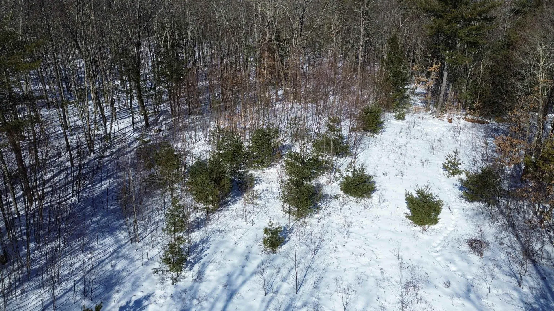 Tbd Old Concord Turnpike Barrington NH 03825