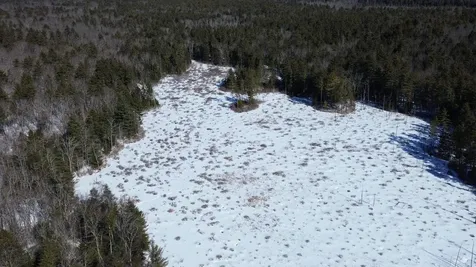 Tbd Old Concord Turnpike Barrington NH 03825