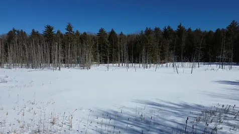 Tbd Old Concord Turnpike Barrington NH 03825