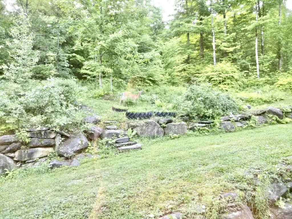 1207 Iron Gate Road Cambridge VT 05444