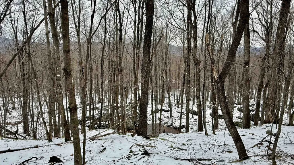 1207 Iron Gate Road Cambridge VT 05444