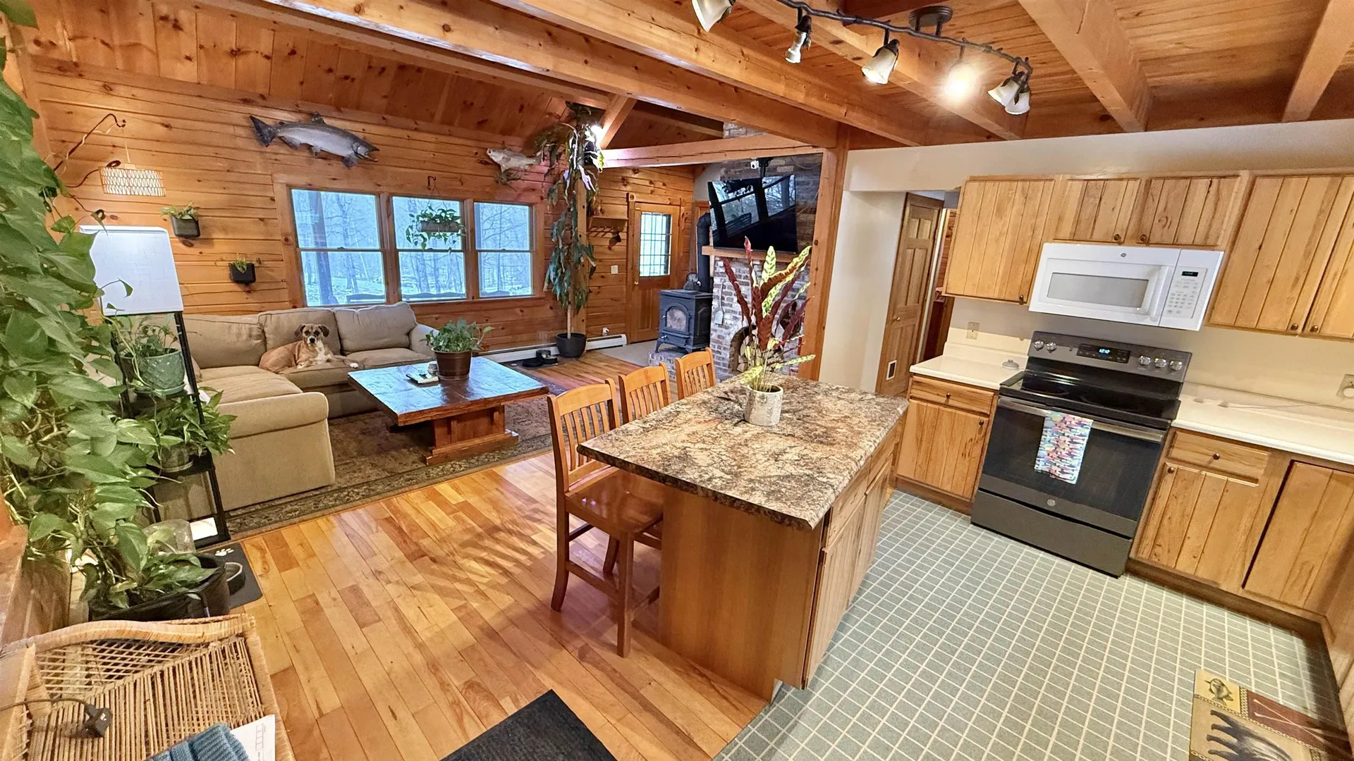 1207 Iron Gate Road Cambridge VT 05444