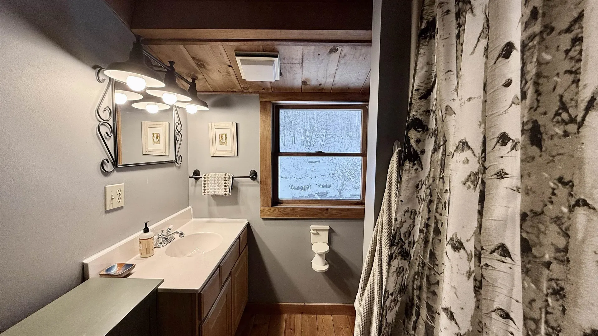 1207 Iron Gate Road Cambridge VT 05444