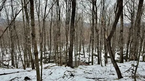 1207 Iron Gate Road Cambridge VT 05444