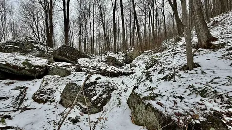 1207 Iron Gate Road Cambridge VT 05444