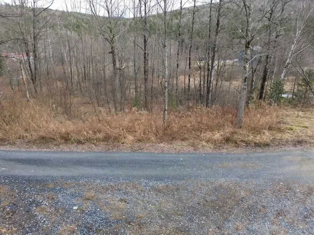 00 Bent Birch Lane Warren VT 05674