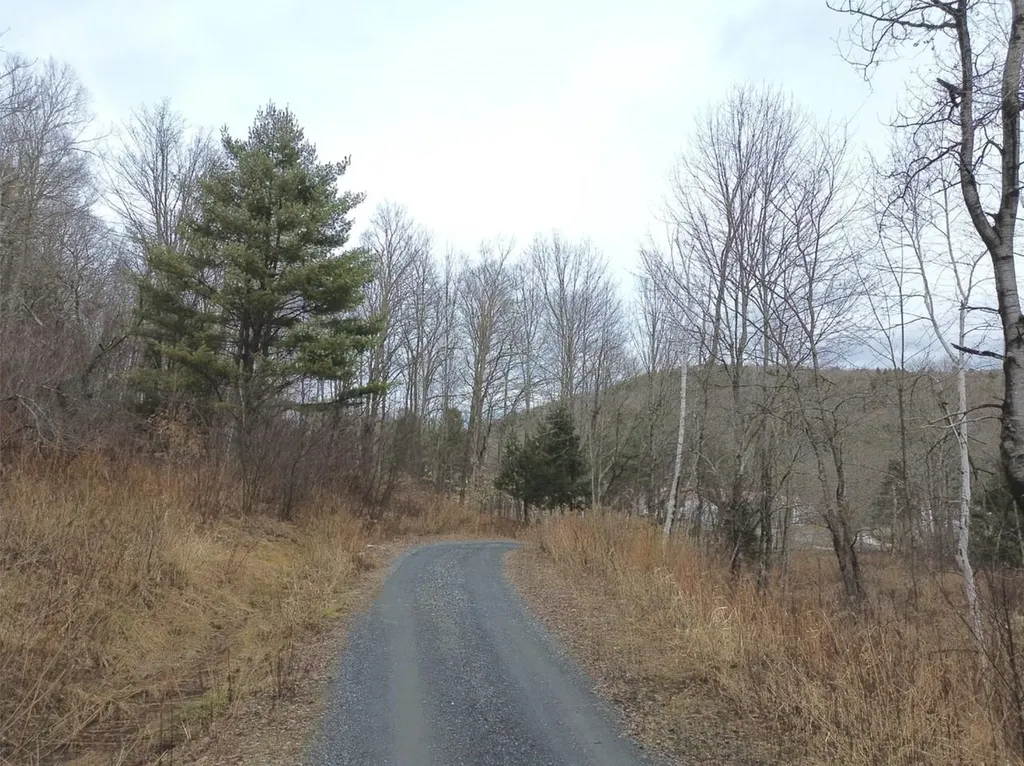 00 Bent Birch Lane Warren VT 05674