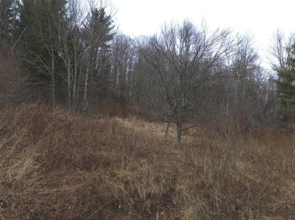 00 Bent Birch Lane Warren VT 05674