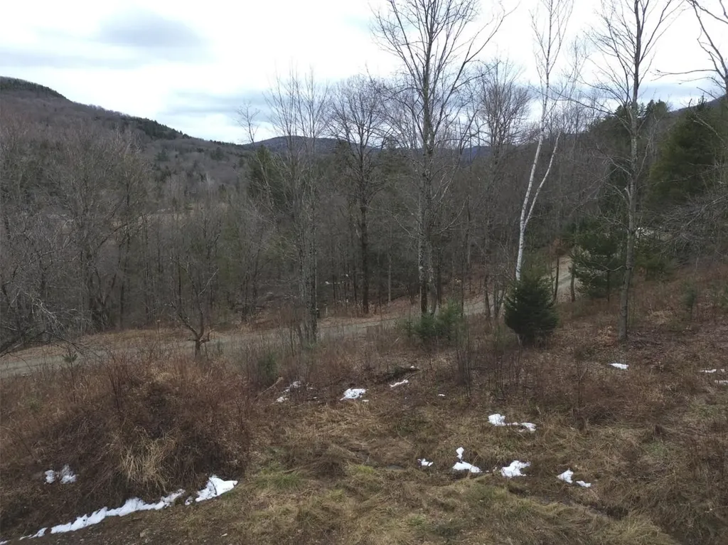 00 Bent Birch Lane Warren VT 05674
