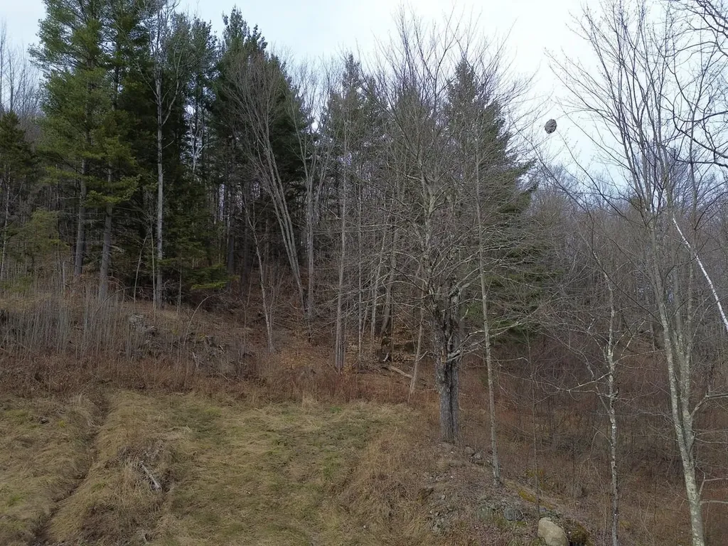 00 Bent Birch Lane Warren VT 05674