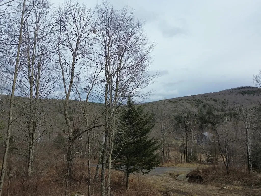 00 Bent Birch Lane Warren VT 05674
