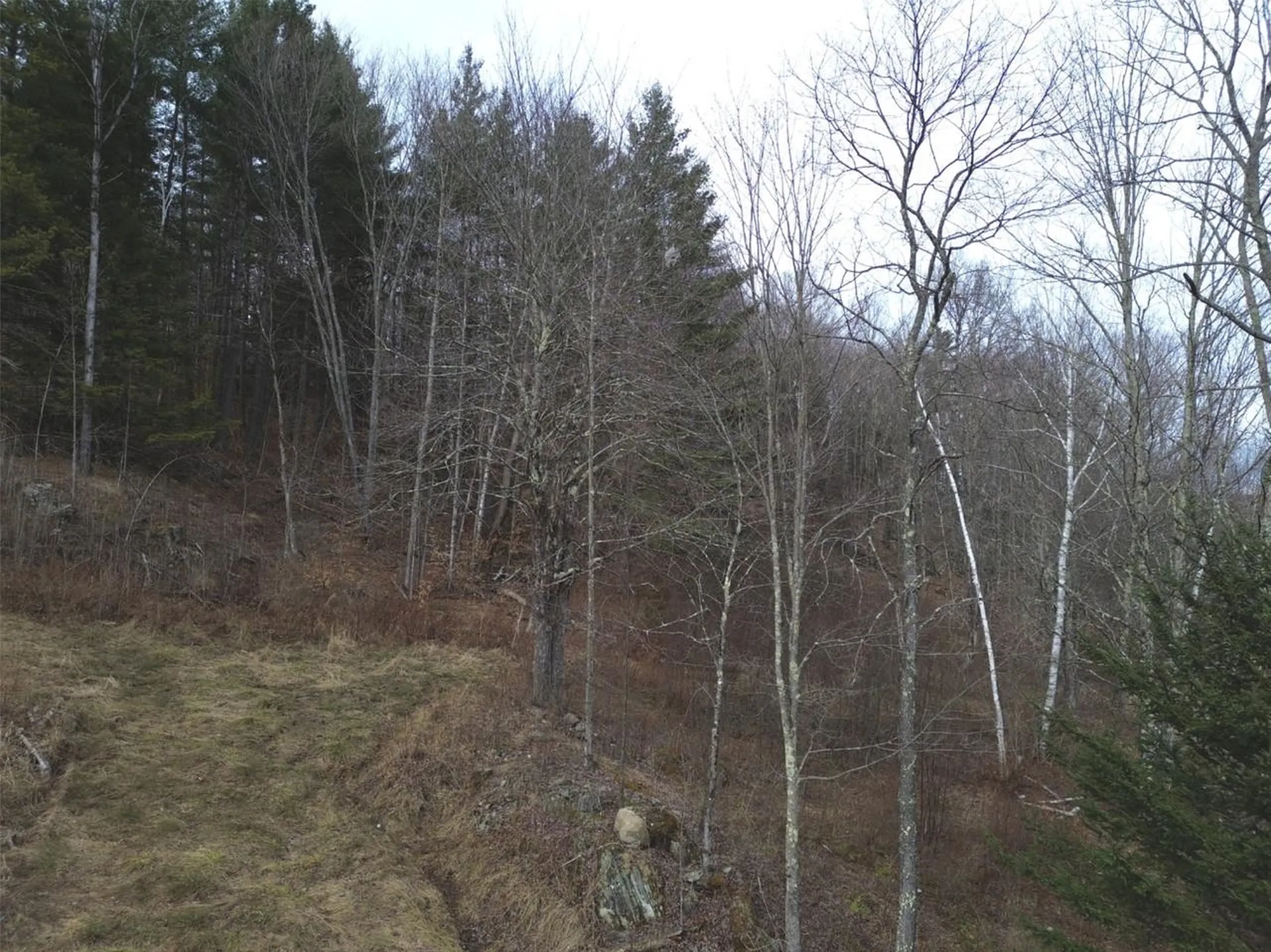 00 Bent Birch Lane Warren VT 05674