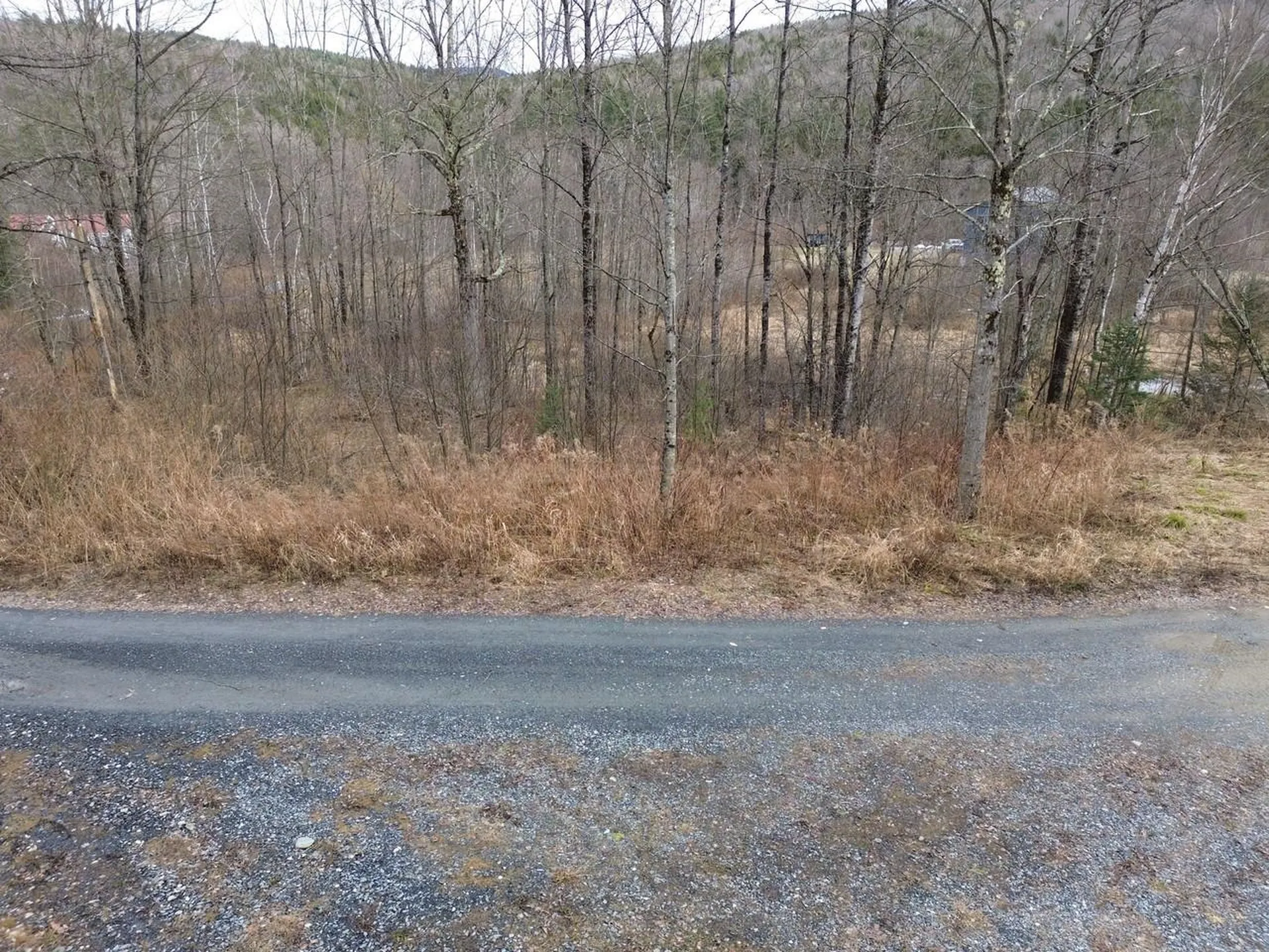 00 Bent Birch Lane Warren VT 05674