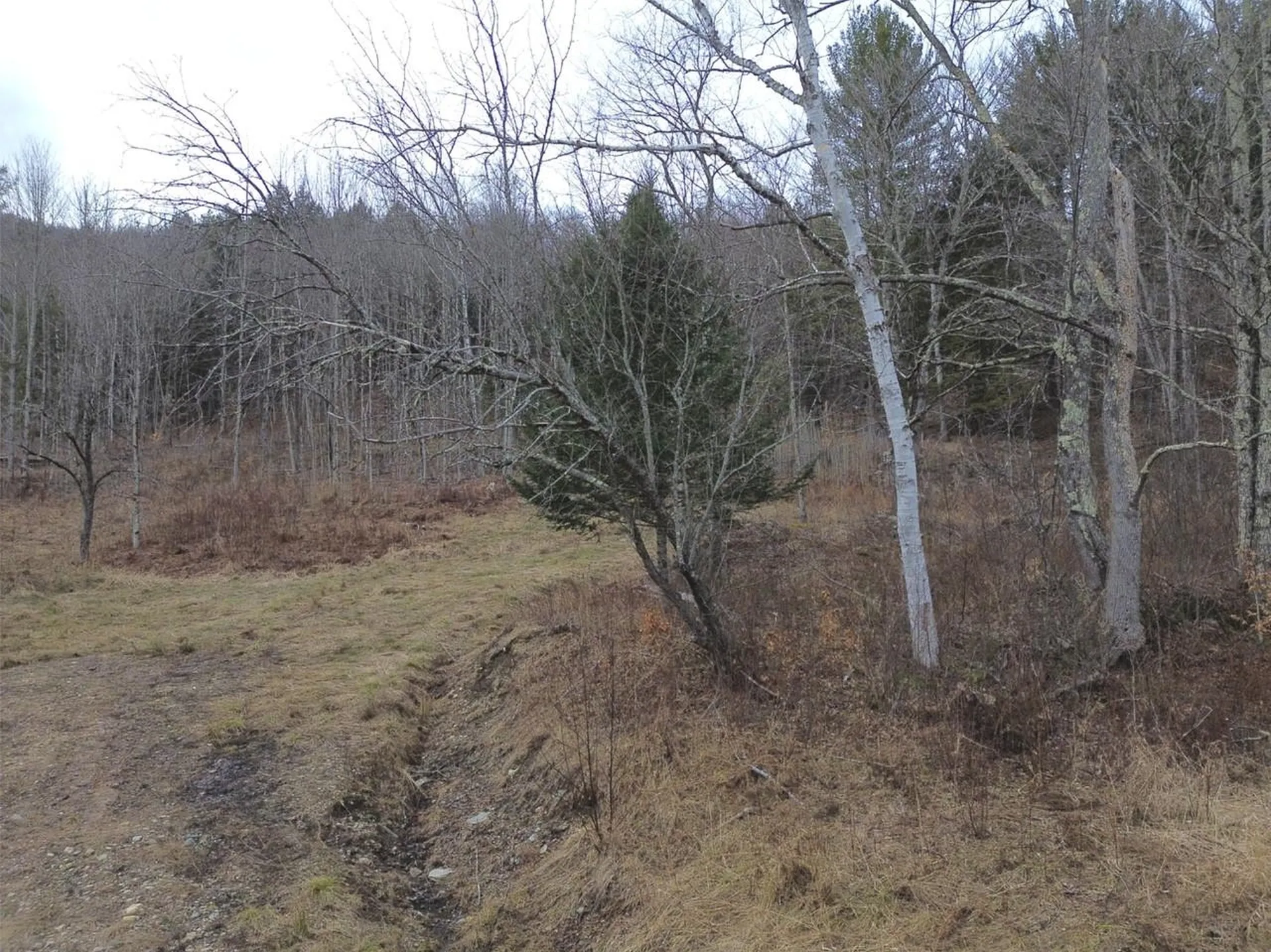 00 Bent Birch Lane Warren VT 05674