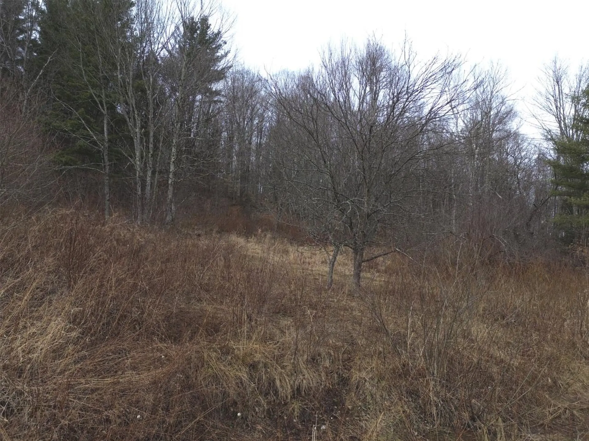 00 Bent Birch Lane Warren VT 05674