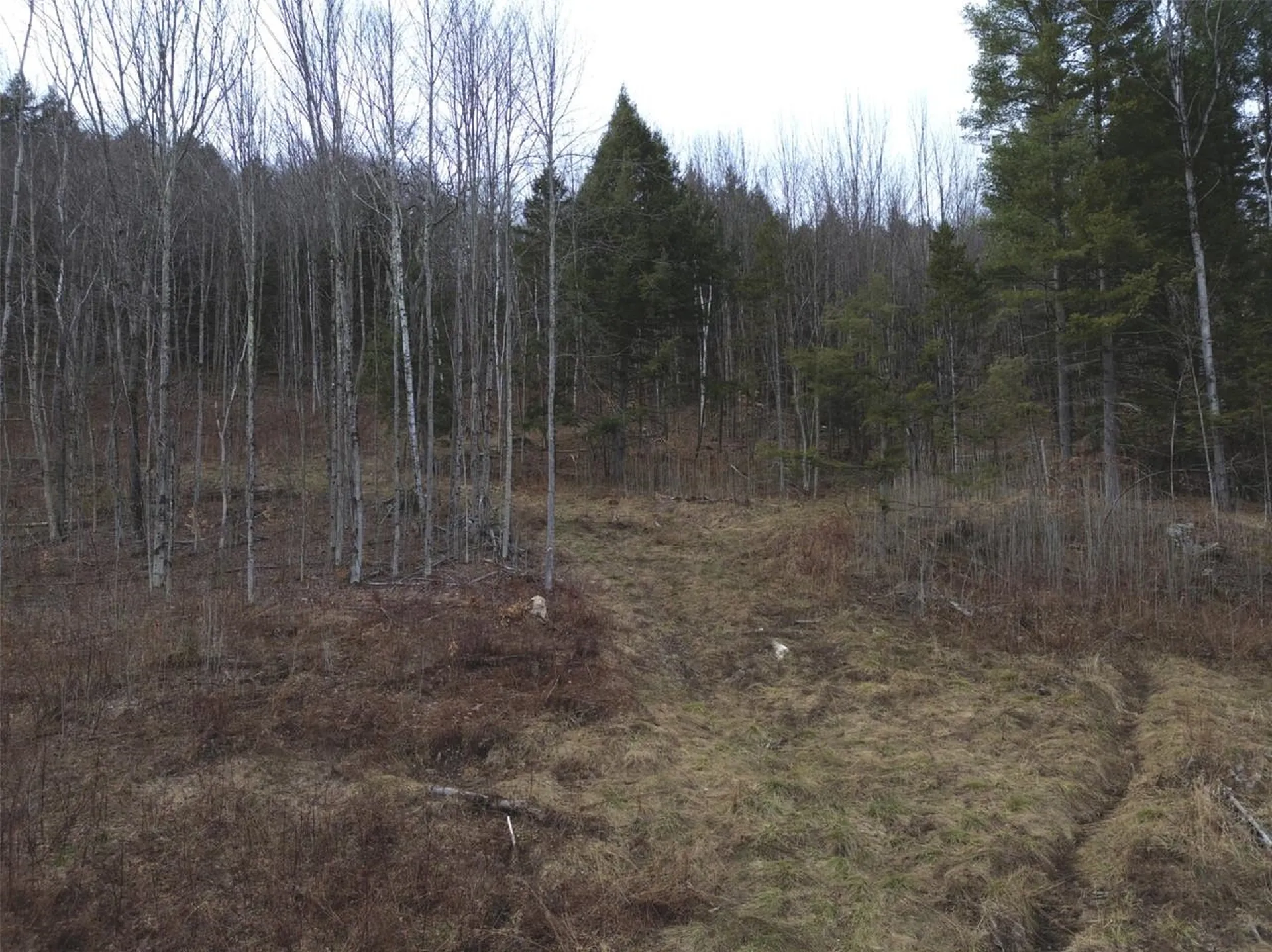 00 Bent Birch Lane Warren VT 05674